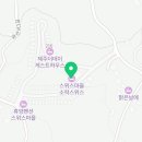 소락스위스 이미지