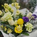 영플라워 | 관저동꽃집 영플라워샵에 다녀온 후기