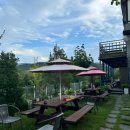 청도아델 이미지