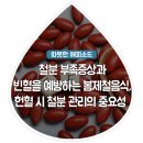 철분 부족 증상과 빈혈을 예방하는 봄 제철음식, 헌혈 시 철분 관리의 중요성 이미지