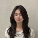 사월헤어 - 남동구 구월로131번길 58 | 사월헤어