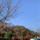 연지원 | 은평구 진관사 고즈넉한 전통찻집 < 연지원 > 후기