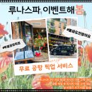 루나짐 | 17주 태교여행, 다낭 마사지 &#39;루나스파&#39; 내돈내산 후기, 공항 픽드랍, 짐보관, 임산부마사지 (광고 아님!)