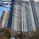 팰리스카운티 이미지