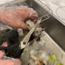 the속시원내과의원 | 대구 메트로속내과 원장과 함께하는 알쭈꾸미 샤브샤브 만들기