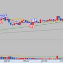 피앤이 바이오 이미지