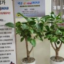 약손수기테라피