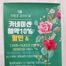 5월 사랑과 감사의 달 카네이션 예약시작합니다~~💐 이미지