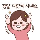 THE M(더엠) 이미지