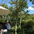 석운로202번길 이미지