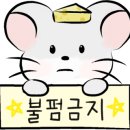 마마김치