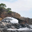 산지송이