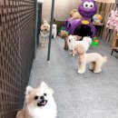 우주유치원 이미지