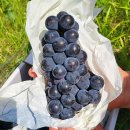 보민농장 이미지