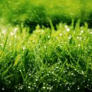 청어람한의원 이미지