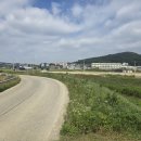 [굴삭기 예초 작업 후기]