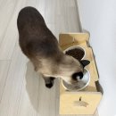 더 스튜 | [고양이 간식 추천] 산양유로 만든 고소하고 부드러운 간식, 호불호 없이 잘 먹는 더캣 크림밀크스튜 후기