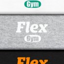 FLEX GYM 이미지