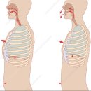 올바른필라테스&PT 이미지