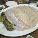 왕십리횟집 리얼후기! 상왕십리 횟집 '태평양수산' 솔직하게 다녀온 후기