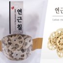 월드씨앗나라
