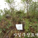 여주-0783 네이버블로그