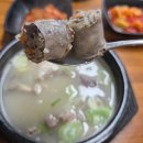 백암로 | 용인 처인구 푸짐한 순대국 맛집 [백암식당] 방문 후기/주차정보