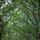 청송얼음골강건너민박 | 안동 하회마을, 부용대 바라보며 천천히 산책하기 좋은 안동 고택