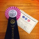 Jena house 이미지