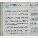 보불로(동) 이미지