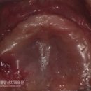 365서울앞선치과의원 이미지