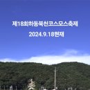경남 제18회 하동 북천 코스모스. 메밀꽃 축제 탐방기 (9월 18일 기준 개화 상황 공유)