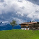 산속농장 이미지