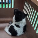 군북119안전센터 이미지