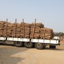 형지농장 이미지