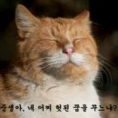 아승