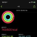 오늘은요거트미니