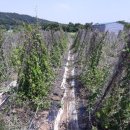 분천농장 이미지