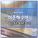 수어지 | 동묘수족관 이준해수어 동대문해수어 후기