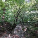 행복한 스푼 이미지