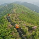 산삼휴양밸리(대봉캠핑랜드) 이미지