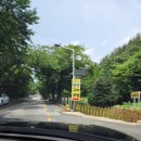 형주네 바다이야기 | [충북 옥천] 형주네 바다 이야기 갈치 정식 후기