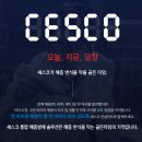 저번 주 세스코 계약 후 알려주는 무료 진단 긴급진단 시간 언제