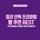 온리과자점 | 마켓컬리 필수템, 실패 없는 컬리 온리 베이커리