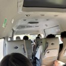 사비숲 | 코타키나발루 반딧불투어 예약 가격 후기 (뚜아이 맹그로브숲 모기)