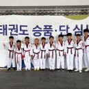 상무태권도체육관 이미지