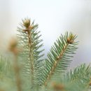 이브컴퍼니 이미지