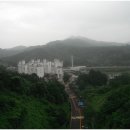 학산목장 Daum카페