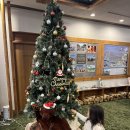 다정카정비 | 38개월 아이랑 홋카이도 여행 Day# 7-1 아이랑 비에이 투어 / 아사히카와 니혼슈 주판점 추천...