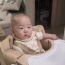 하이리브 | 르베르 하이체어 후기｜이유식 시작, 14만원대 가성비 아기식탁의자 사용기